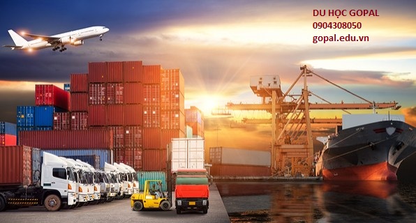 5 LÍ DO CHỌN HỌC NGÀNH LOGISTICS & CHUỖI CUNG ỨNG