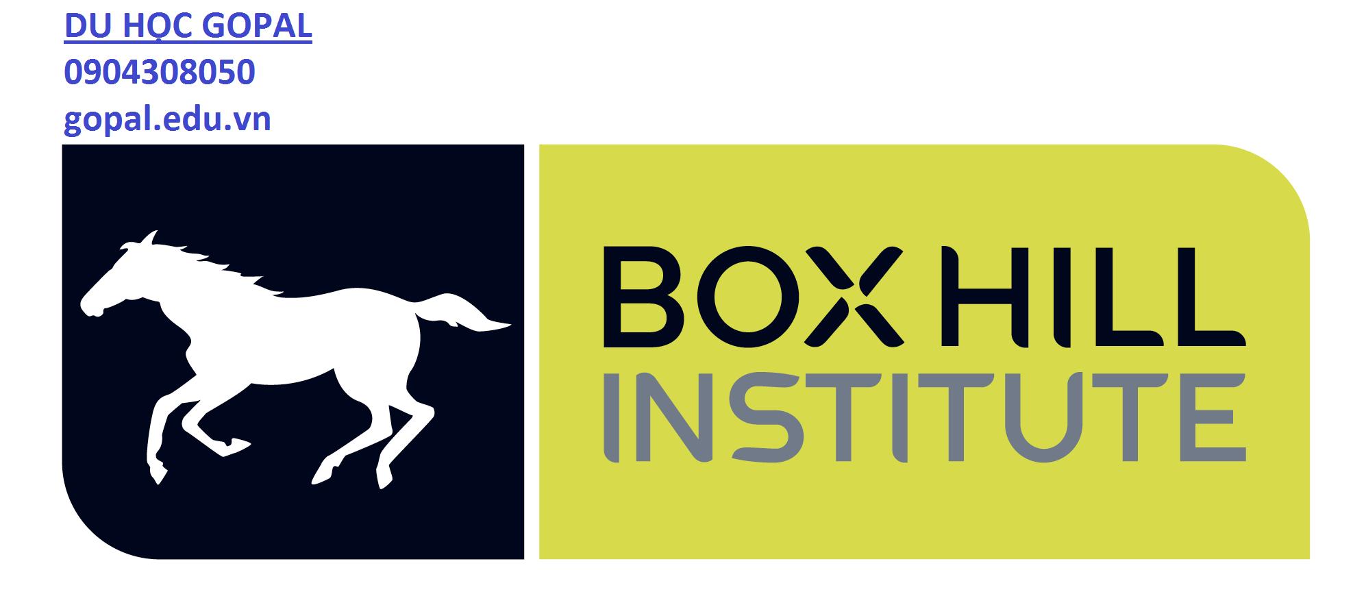 BOX HILL INSTITUTE