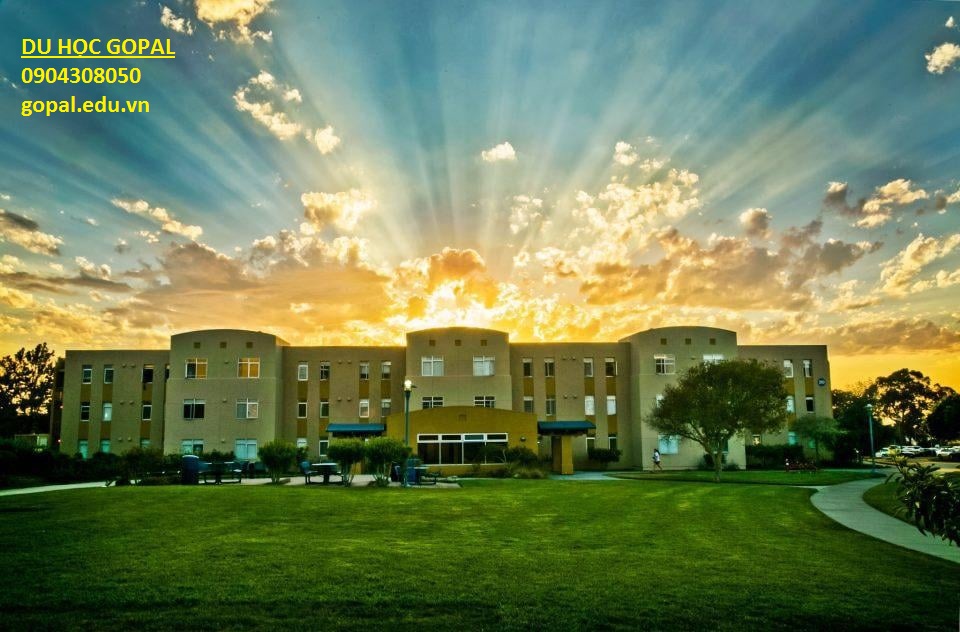 CALIFORNIA STATE UNIVERSITY MONTEREY BAY