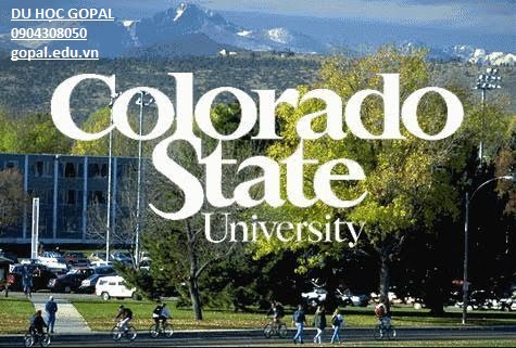 COLORADO STATE UNIVERSITY