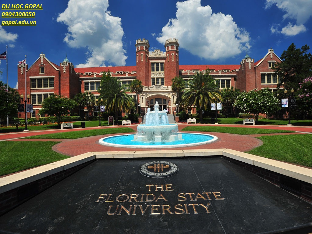 FLORIDA STATE UNIVERSITY