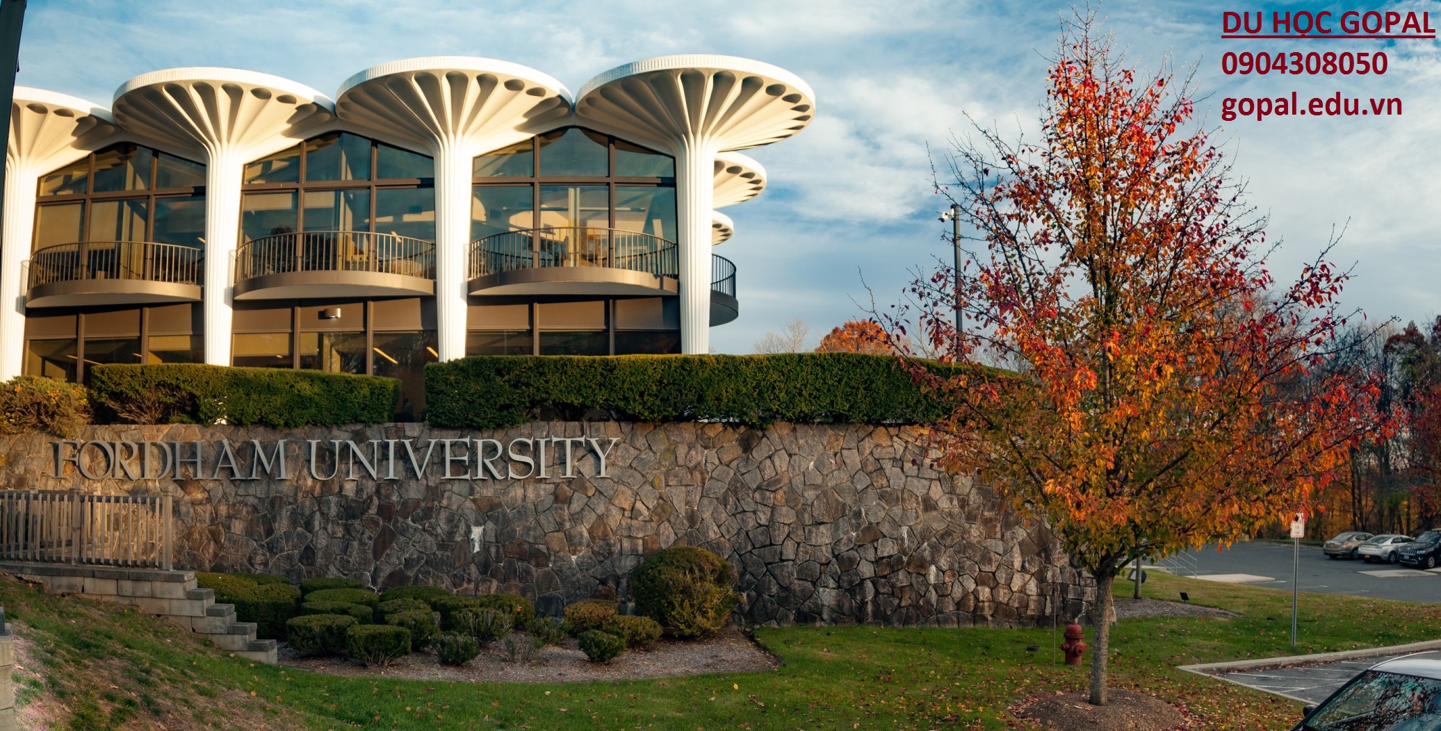 FORDHAM UNIVERSITY