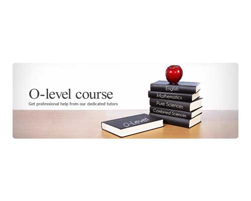 Học O Level, A Level tại Shelton College International kéo gần giấc mơ trở thành công dân Singapore & công dân toàn cầu!