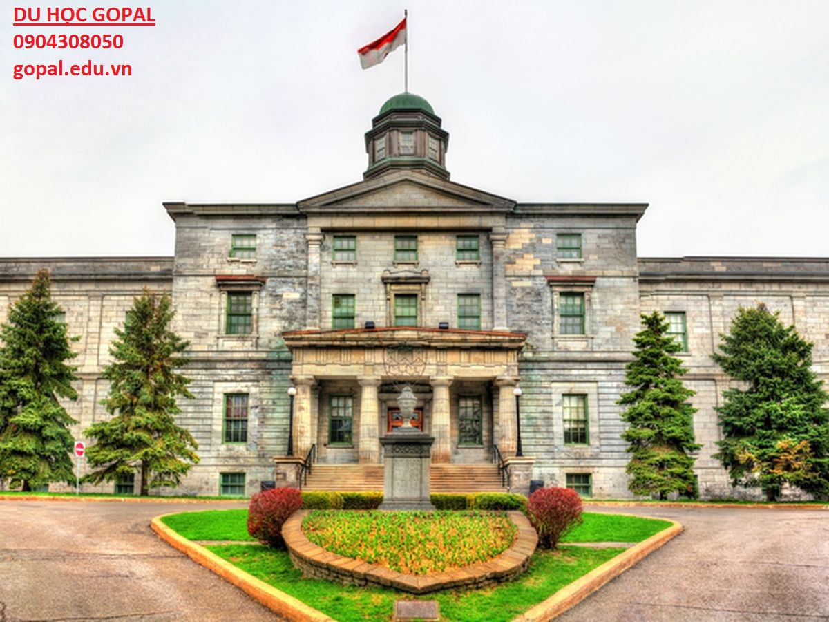 MCGILL UNIVERSITY