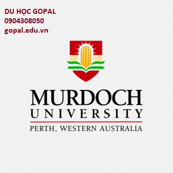 MURDOCH UNIVERSITY