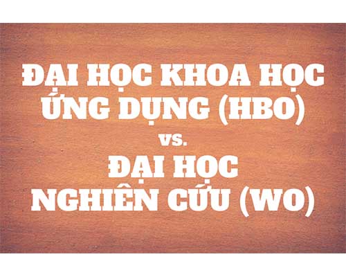 Nên chọn đại học Nghiên cứu hay đại học khoa học Ứng dụng khi du học Hà Lan?