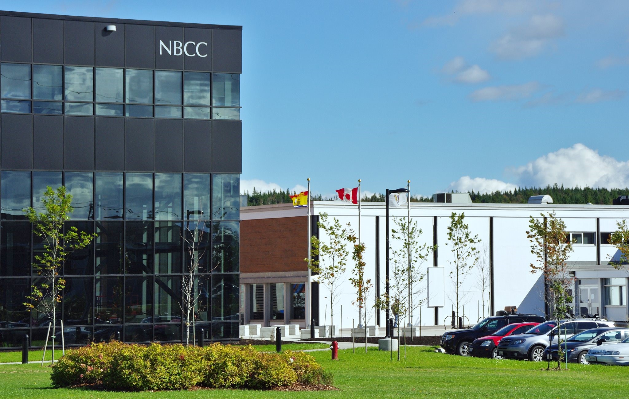 NEW BRUNSWICK COMMUNITY COLLEGE