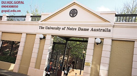 NOTRE DAME UNIVERSITY