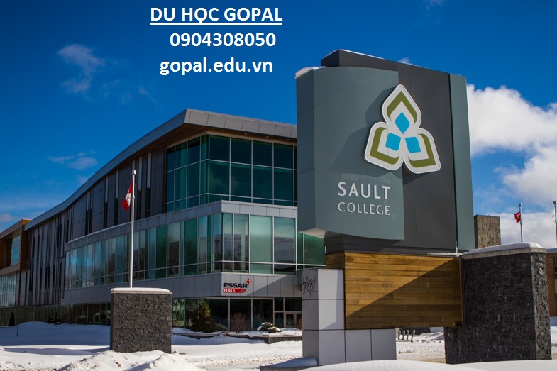 SAULT COLLEGE