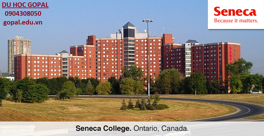 SENECA COLLEGE