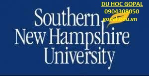 SOUTHERN NEW HAMPSHIRE UNIVERSITY