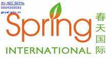 SPRING COLLEGE INTERNATIONAL