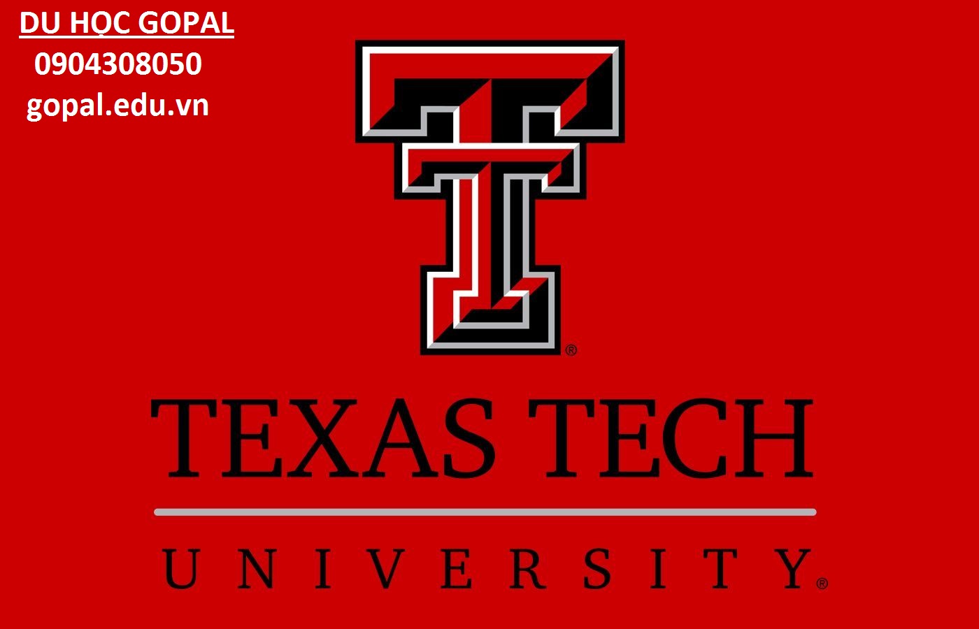 TEXAS TECH UNIVERSITY