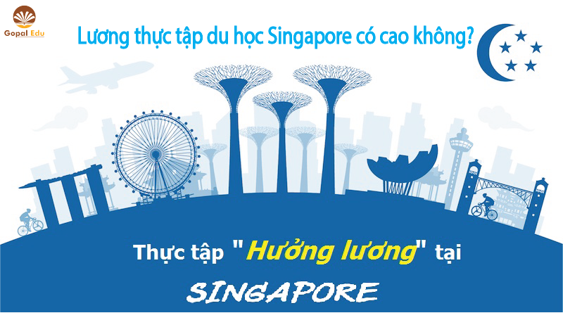 Thực tập tại Singapore lương có cao không?