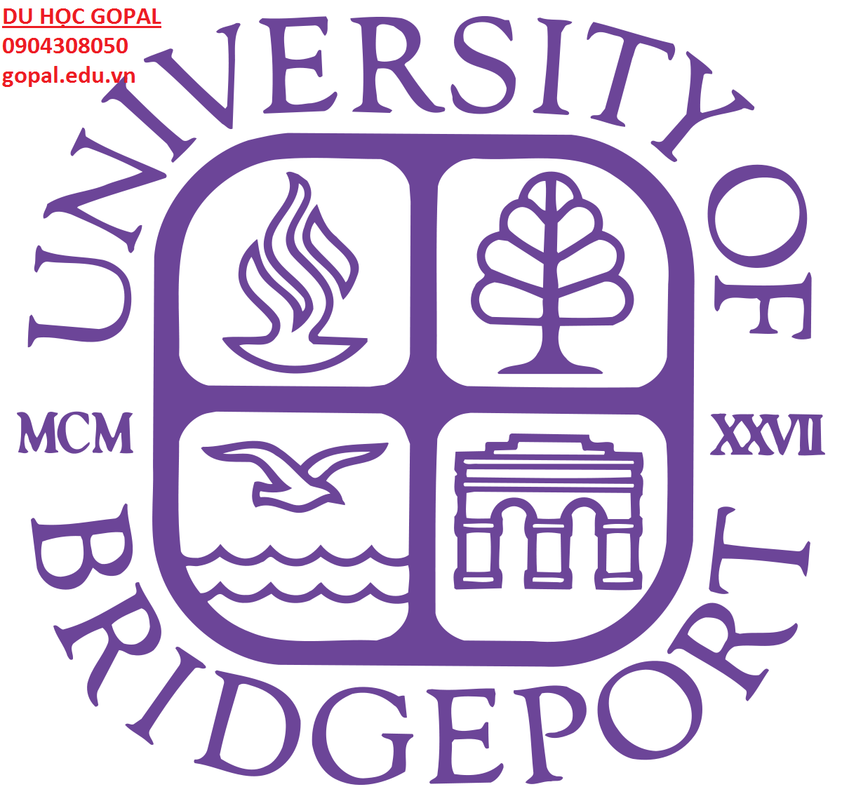 UNIVERSITY OF BRIDGEPORT