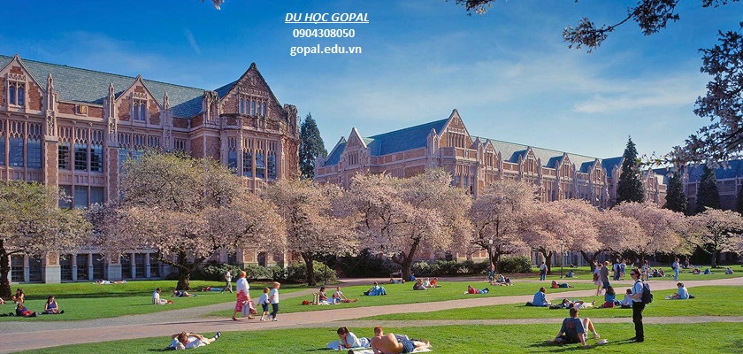 UNIVERSITY OF WASHINGTON