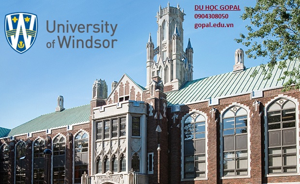 UNIVERSITY OF WINDSOR