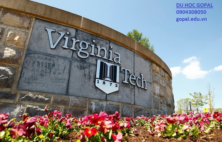 VIRGINA TECH