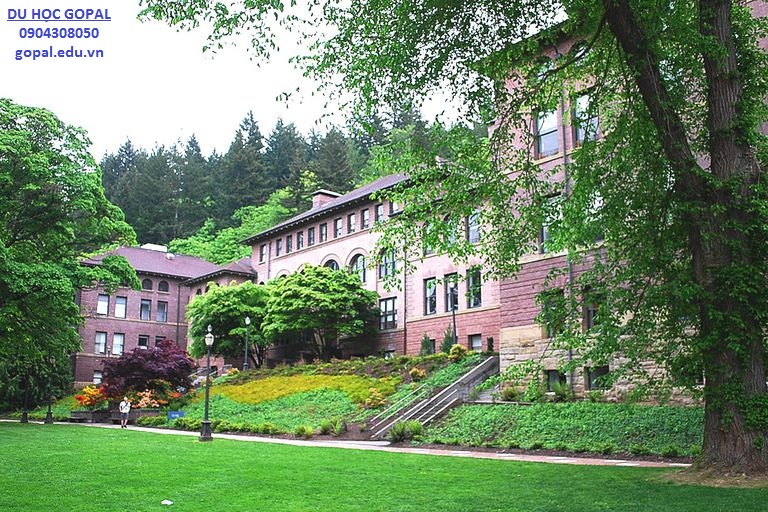 WESTERN WASHINGTON UNIVERSITY