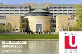 YORK UNIVERSITY